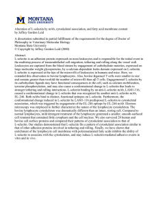 Alteration of L-selectin by mAb, cytoskeletal association, and fatty acid... by Jeffrey Gordon Leid