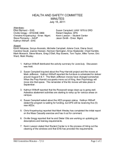 HEALTH AND SAFETY COMMITTEE MINUTES July 15, 2011