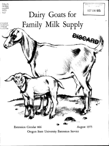 Family Milk Supply Dairy Goats for '. August 1975