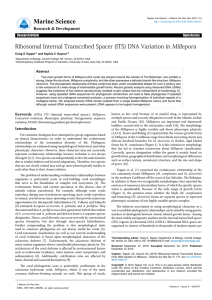 Marine Science Ribosomal Internal Transcribed Spacer (ITS) DNA Variation in Millepora