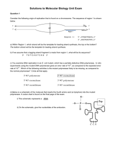 Solutions to Molecular Biology Unit Exam