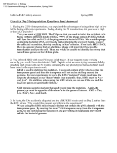 Genetics Day 5 Interpretation Questions (and Answers)