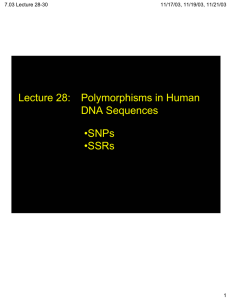 Lecture 28: Polymorphisms in Human DNA Sequences •SNPs •SSRs
