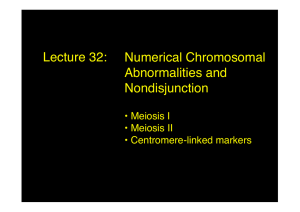 Lecture 32: Numerical Chromosomal Abnormalities and Nondisjunction