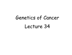 Genetics of Cancer Lecture 34