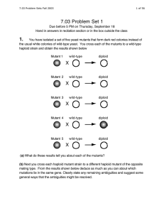 7.03 Problem Set 1