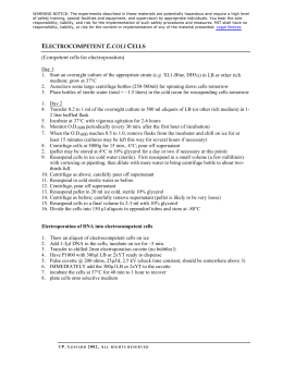 about colours essay unity