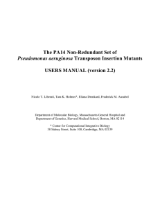 The PA14 Non-Redundant Set of USERS MANUAL (version 2.2) Pseudomonas aeruginosa