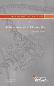 Gibson Assembly Cloning Kit DNA MODIFYING ENZYMES Instruction Manual