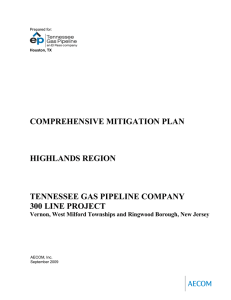 COMPREHENSIVE MITIGATION PLAN HIGHLANDS REGION TENNESSEE GAS PIPELINE COMPANY