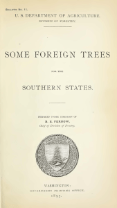 SOME  FOREIGN  TREES SOUTHER N STATES.