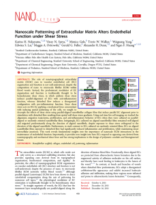 Nanoscale Patterning of Extracellular Matrix Alters Endothelial Function under Shear Stress