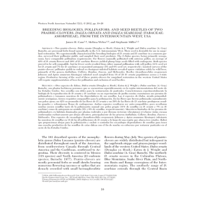 BREEDING BIOLOGIES, POLLINATORS, AND SEED BEETLES OF TWO DALEA ORNATA