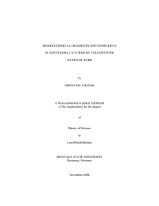 BIOGEOCHEMICAL GRADIENTS AND ENERGETICS IN GEOTHERMAL SYSTEMS OF YELLOWSTONE NATIONAL PARK