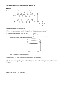 Practice Problems for Biochemistry, Session 3 C H