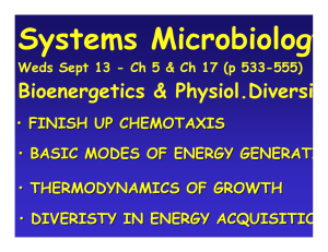 Systems Microbiology Bioenergetics &amp; Physiol.Diversity