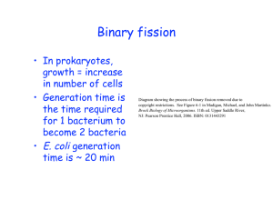 Binary fission • In prokaryotes, growth = increase in number of cells