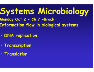 Systems Microbiology • DNA replication Transcription