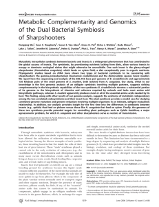 Metabolic Complementarity and Genomics of the Dual Bacterial Symbiosis of Sharpshooters