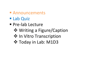  Announcements  Lab Quiz  Pre‐lab Lecture  Writing a Figure/Caption 