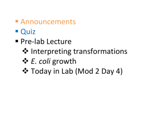  Announcements  Quiz  Pre‐lab Lecture  Interpreting transformations