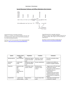 Recitation 5 Worksheet  Second Messenger Pathways and Diffuse Modulatory Brain Systems