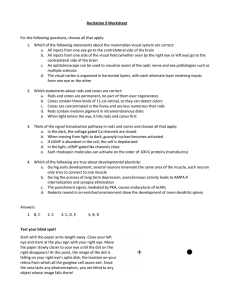 Recitation 9 Worksheet  For the following questions, choose all that apply: