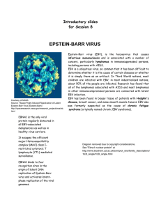 EPSTEIN-BARR VIRUS Introductory slides for Session 8
