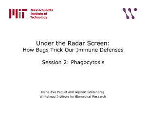 Under the Radar Screen: How Bugs Trick Our Immune Defenses