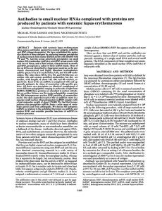 RNAs by systemic Antibodies to small nuclear