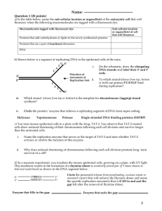 Name: Question 1 (20 points)