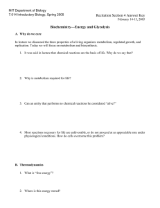 Recitation Section 4 Answer Key Biochemistry—Energy and Glycolysis