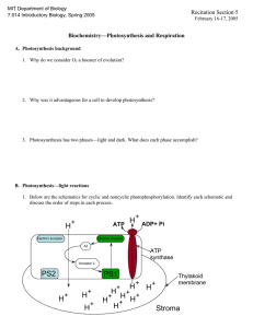 Recitation Section 5 Biochemistry—Photosynthesis and Respiration