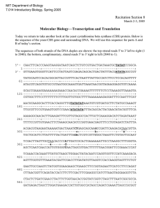 Recitation Section 8 Molecular Biology—Transcription and Translation