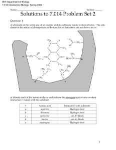 MIT Department of Biology 7.014 Introductory Biology, Spring 2004 Name:__________________________________________