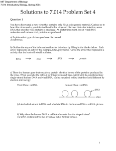 Solutions to 7.014 Problem Set 4 Question 1