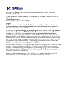 Occurrence and characterization of dicambre resistant Kochia (Kochia scoparia) in... by Josette Lynn Hackett