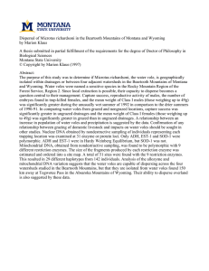 Dispersal of Microtus richardsoni in the Beartooth Mountains of Montana... by Marion Klaus