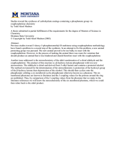 Studies toward the syntheses of carbohydrate analogs containing a phosphonate... oxaphospholene chemistry