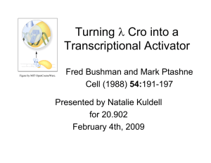 λ Cro into a Turning Transcriptional Activator Fred Bushman and Mark Ptashne