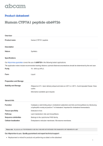 Human CYP7A1 peptide ab69726 Product datasheet Overview Product name