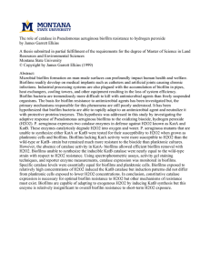 The role of catalase in Pseudomonas aeruginosa biofilm resistance to... by James Garrett Elkins