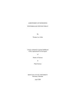 AGRONOMICS OF RESEEDING WINTERKILLED WINTER WHEAT By