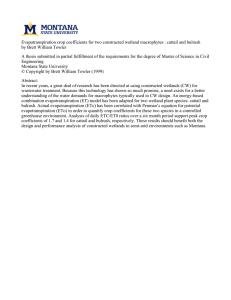 Evapotranspiration crop coefficients for two constructed wetland macrophytes : cattail... by Brett William Towler