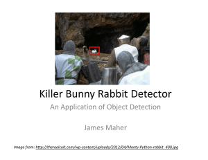 Killer Bunny Rabbit Detector An Application of Object Detection James Maher Image from: 