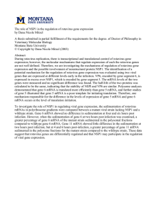 The role of NSP1 in the regulation of rotavirus gene... by Dana Nicole Mitzel
