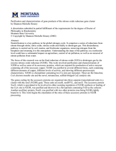 Purification and characterization of gene products of the nitrous oxide reductase... by Shannon Michelle Henery