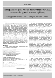Pathophysiological role of extrasynaptic GABA  receptors in typical absence epilepsy