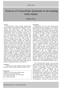 Sources of extracellular glutamate in developing white matter  Robert Fern