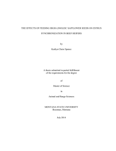 THE EFFECTS OF FEEDING HIGH-LINOLEIC SAFFLOWER SEEDS ON ESTRUS by